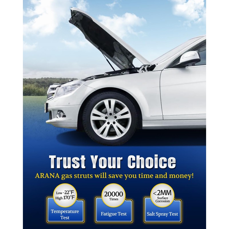 Qty(2) ARANA PM3269 Front Hood Struts Shocks Campatible with 2010