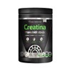 Suplemento alimenticio Healthaddiction Polvo de creatina monihidrata 400g