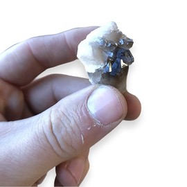 TENET - Untreated mineral magnet, natural stone (smoke quartz)