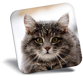 Destination Vinyl ltd Fridge Magnet - Cute Winter Cat Kitten Snow Christmas for Office, Cabinet and Whiteboard, Magnetic Stickers, 44818