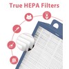500/600 Series DualProtection Filter Replacement for BLUEAIR Classic 501, 503,