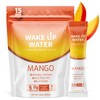Wake Up Water - Energy + Hydration Sugar Free 15