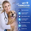 PHASORRA Dog Dental Probiotic Soft Powder Chews, 120 Count, Kelp