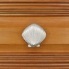 Costello Coastal - Seashell Cabinet Knob (Medium)