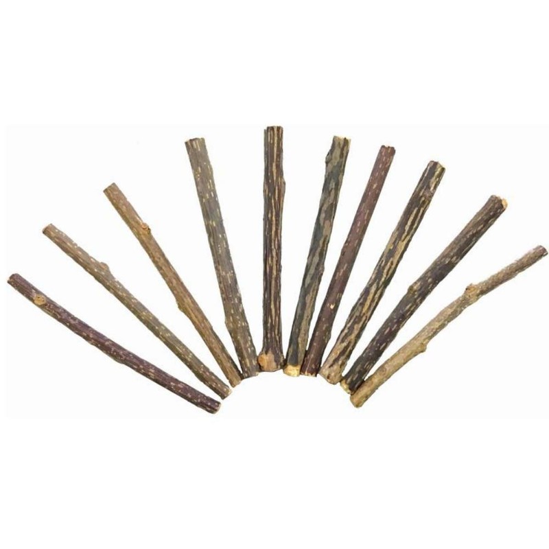 Smokey's Stash 10 Catnip Alternative for Cats Matatabi Silvervine Sticks