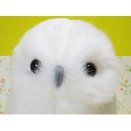 ぬいぐるみ スターチャイルド 白フクロウ
