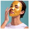 Skin Republic Gold Hydrogel Mask