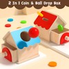 Siairo Montessori Toy for Toddlers, Coin and Ball, 2-in-1 Drop