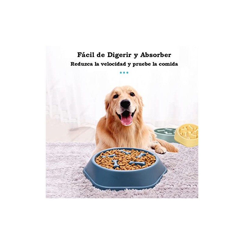 Perro de Comer Lento, Cuenco Antideslizante para Perros de Comida