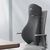 Memory Foam Lumbar Support Pillow for Office Chair, Ergonomic Backrest