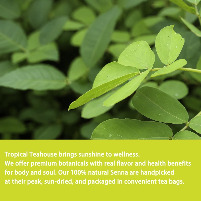 Samcci - Senna Tea, 50 Teabags, 1.5g/bag - Senna Leaf