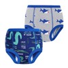 FLYISH DIRECT Potty Training Pants Cotton, Reusable and Absorbent, 2