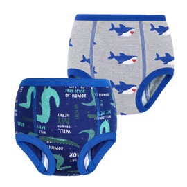 FLYISH DIRECT Potty Training Pants Cotton, Reusable and Absorbent, 2 Packs