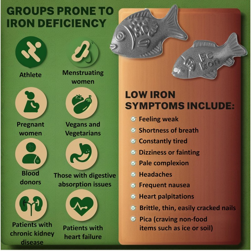 Iron Fish Cooking Tool, Natural Iron Supplement for Cooking, Great