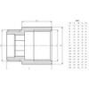 3/4" BSP (22mm) Pipe Thread Extension Female x Male Cast