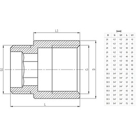 3/4" BSP (22mm) Pipe Thread Extension Female x Male Cast Iron Brass - 30mm Long
