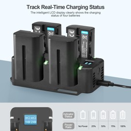 WELLMAKING 4-Channel NP-F Battery Fast Charger with LCD Screen, PD 65W Power Plug, Charging Indicator Light and USB-C Cable Compatible with NP-F550 F570 F750 F770 F930 F950 F960 F970 Batteries