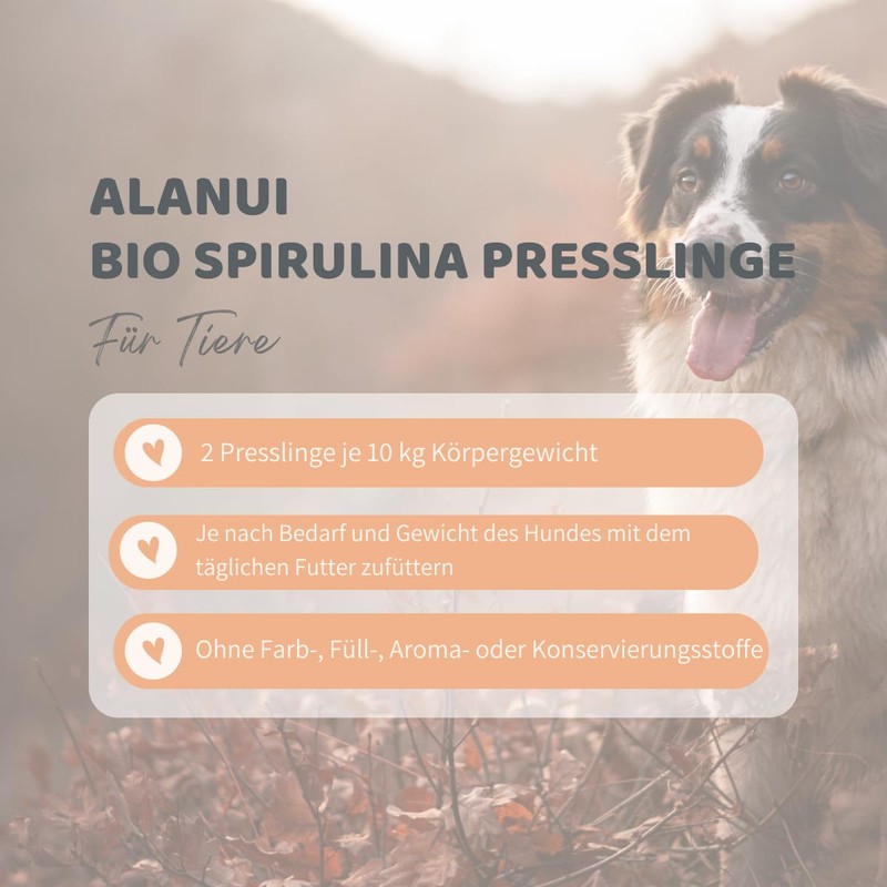 alanui Organic Spirulina for Dogs, 150 g Tub, Approx. 375