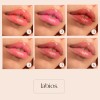 Multitask! Dapop Rubor En Crema Tinta Labios Mejillas Ojos