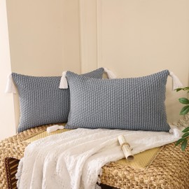 Tosleo Boho Decorative Throw Pillow Covers 12 x 20 Set of 2 Farmhouse Cute Stripe Pillowcase with Tassels Minimalist Neutral Collection Gray Woven Square Cushion Case for Sofa Couch Bedroom