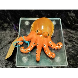 Orange Octopus Cowrie Shell