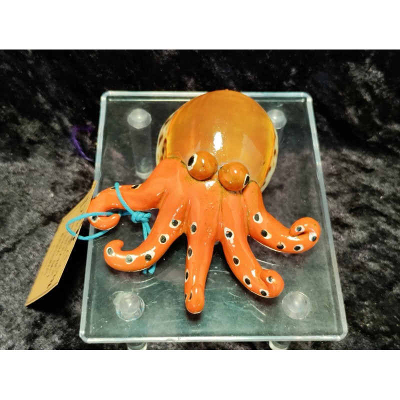 Orange Octopus Cowrie Shell