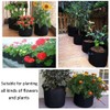 Mintice 5x7 Gallon Brown Breathable Planter Bags for Vegetables and