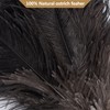 Aldwin Ostrich Feather Duster, 16 inch Black Genuine Ostrich Feathers