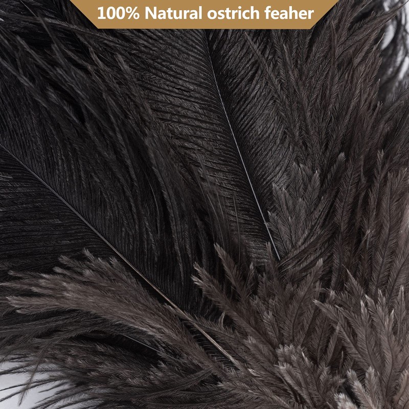Aldwin Ostrich Feather Duster, 16 inch Black Genuine Ostrich Feathers