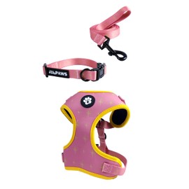 Trendy Paws Small Dog Harness Set (Rose Gold, Small)