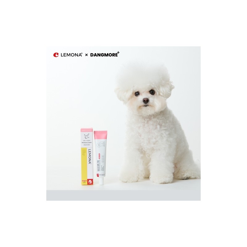 Lemona X Dangmore Hydrating Cream 40ml / 레모나X댕모어 촉촉 크림