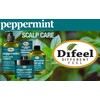 Difeel Peppermint Hot Oil Treatment for Dry, Irritated or Flaky