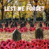 sesameless 50 Set Red Poppy Artificial Flowers,Remembrance Day Decorations,Lest We