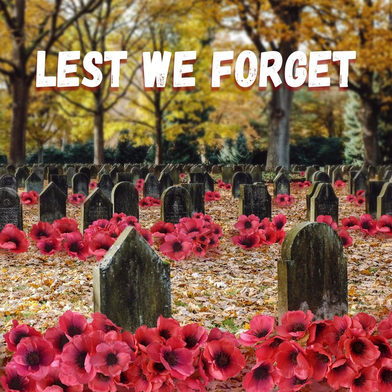 sesameless 50 Set Red Poppy Artificial Flowers,Remembrance Day Decorations,Lest We