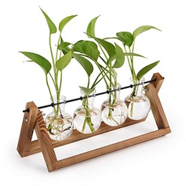 Solis Plus Plant Propagation Stations Terrarium with Wooden Stand âWood Terrarium Stand with 4 Glass Planters for Indoor Plants â Air Plant Holder for House Plants, Home and Office Decor