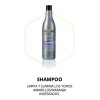 Shampoo Anti-amarillo Silver Yellow Rubio Frios Grises 500ml