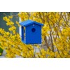 Kettle Moraine Recycled Bluebird Mealworm Feeder Hang or Mount (Blue,