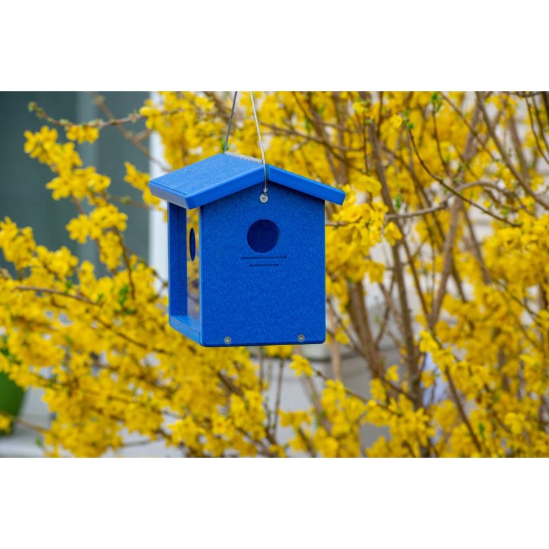 Kettle Moraine Recycled Bluebird Mealworm Feeder Hang or Mount (Blue,