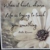 MoonlightJadeArt STKR015 Inspire Motivate Life Quote Sticker - Observe Teaching