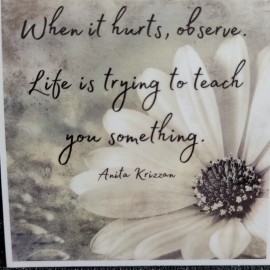 MoonlightJadeArt STKR015 Inspire Motivate Life Quote Sticker - Observe Teaching Hurt Learn Teach