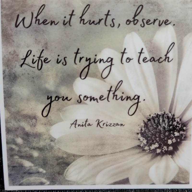MoonlightJadeArt STKR015 Inspire Motivate Life Quote Sticker - Observe Teaching