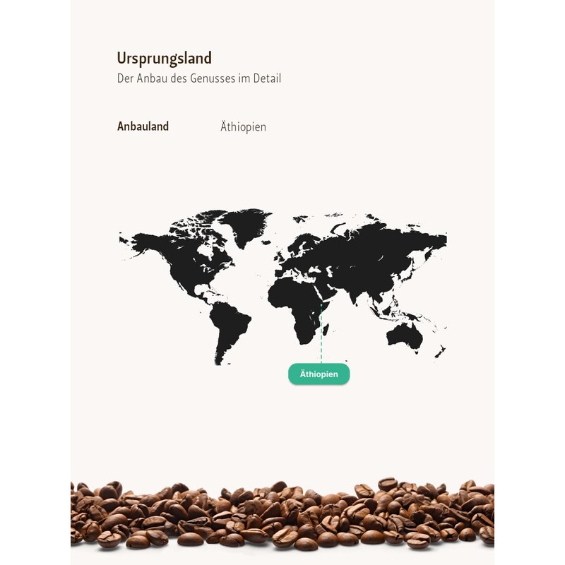 Turkish Mocha Bean 1000g