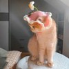 Cute Pets Cap with Cherry Decor Wool Berets for Small