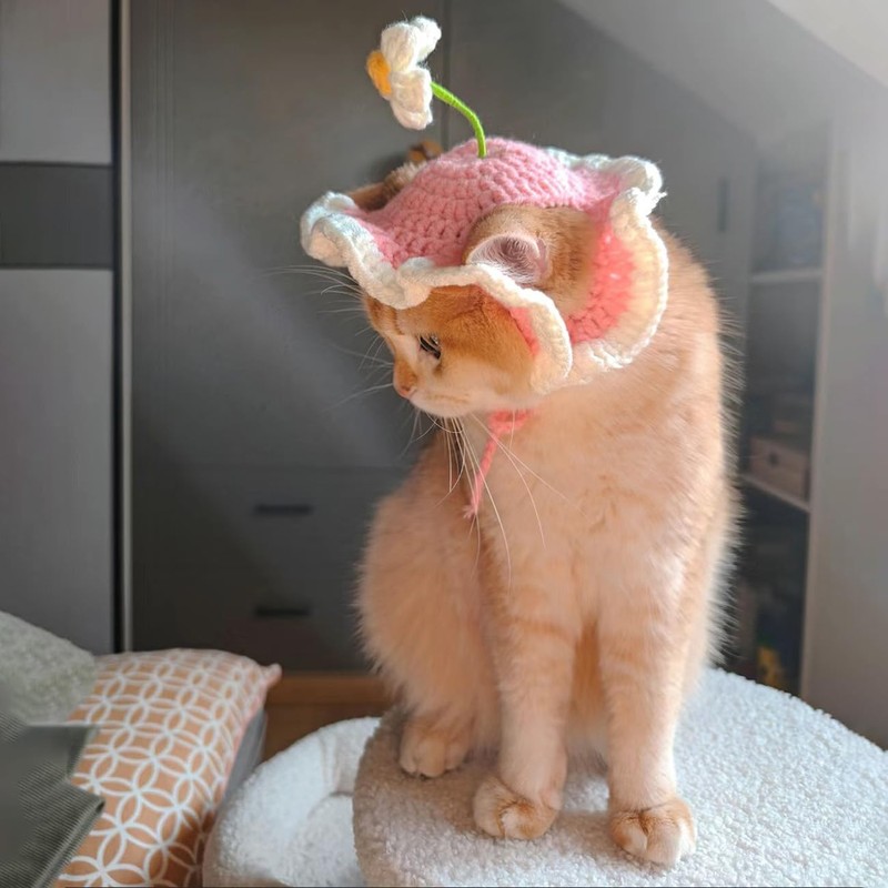 Cute Pets Cap with Cherry Decor Wool Berets for Small