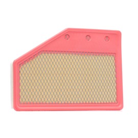 RIDEX 8A0995 Engine Air Filter, Air Filter Insert, Car Filter, Car Filter