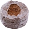 Siena Garden 50 Coconut Pots with Net Diameter 35 mm