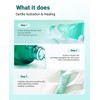 BRING GREEN TEA TREE CICA TRIAL KIT | Travel Size