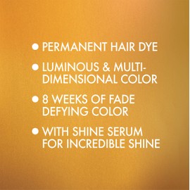 L'Oreal Paris Superior Preference Fade-Defying + Shine Permanent Hair Color, 4 Dark Brown, Pack of 2, Hair Dye