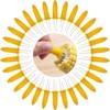 DKDDSSS 30 Pcs Corn Holders, Corn on The Cob Skewers