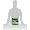 Gharana Swaad ka Khazaana Gold Kili Ginger Drink - Packs